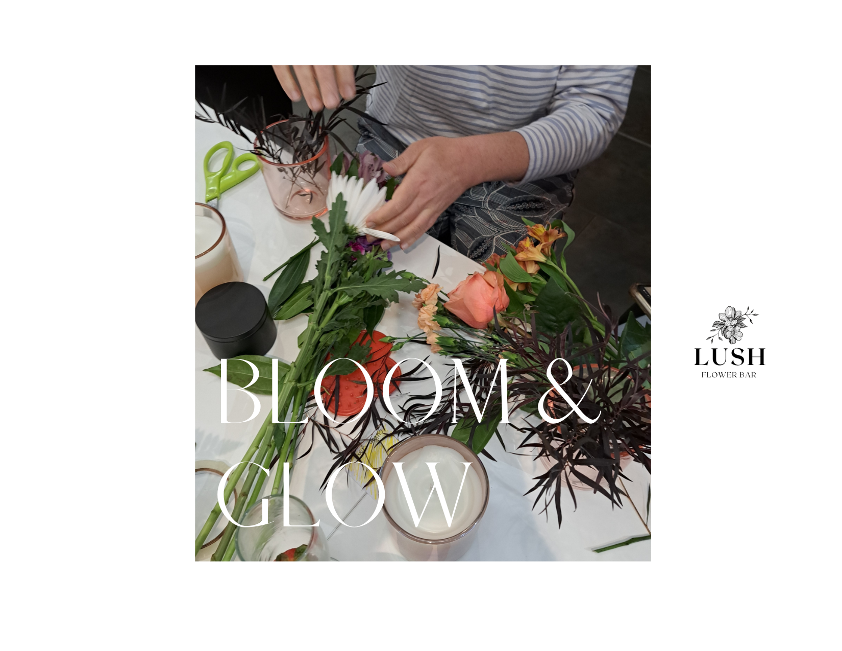 Bloom & Glow: Recap