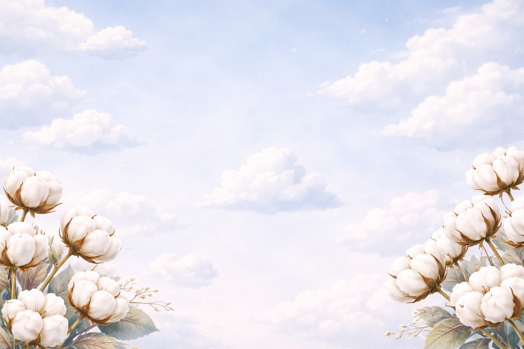 test blog